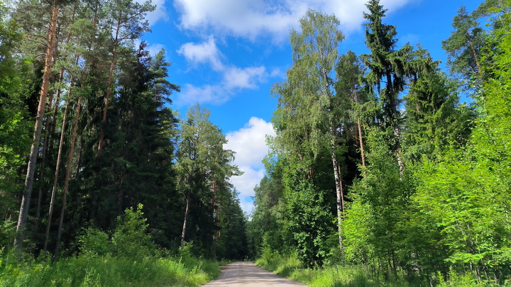 Рогов назвал затишьем перед бурей ситуацию на запорожском участке фронта