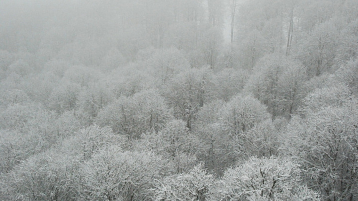 Горный кластер Сочи накроет сильный снегопад