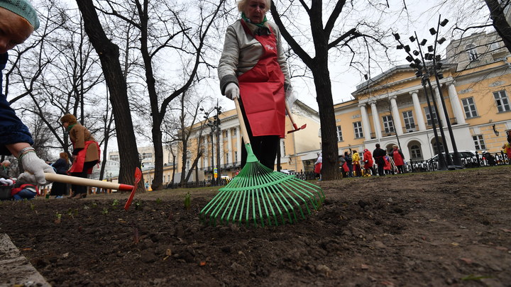 Жители Екатеринбурга раскритиковали бордюры, покрашенные на субботнике в жовто-блакитный цвет