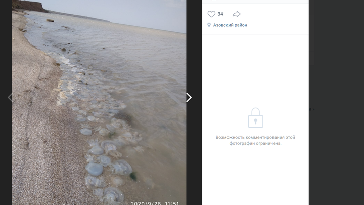 Пляжи Азовского моря завалены мертвыми медузами