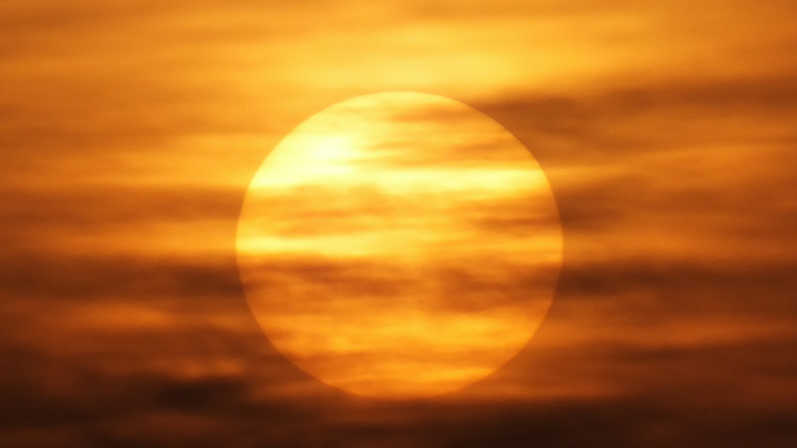 Проклятие Европы дошло до России? Опасная жара на пороге - синоптики выдали тревожный прогноз