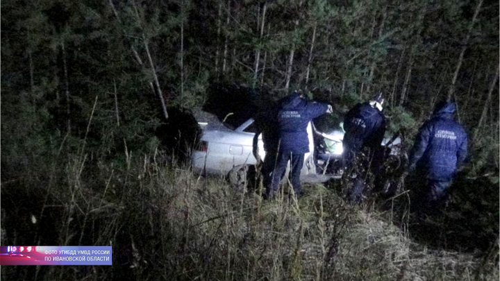 В Ивановской области «десятка» сбила лошадь