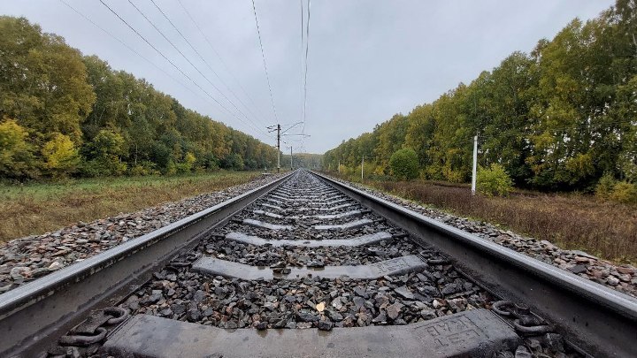 В Кузбассе студент и его девушка признались в массовых поджогах на железной дороге