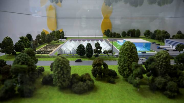 Аграрии Большого Урала попробовали Катину корзинку и увидели гибридных кур