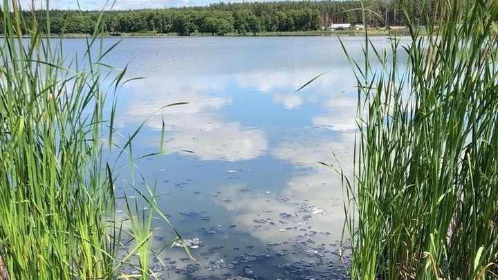 В Мулловке приостановлено производство фанфуриков на заводе Гиппократ