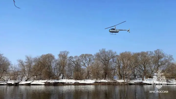 Шоколад и прогулка по льду: СК восстановил путь пропавших детей в Звенигороде
