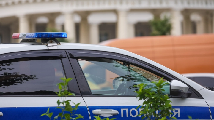 СМИ: В Подмосковье прохожий спас маленькую девочку от похитителя. Опубликованы кадры