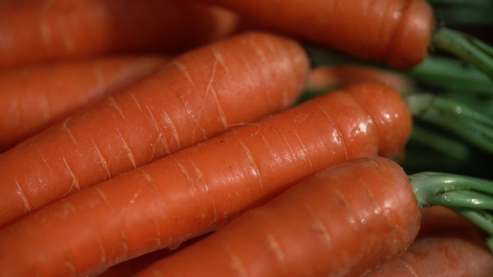 От белой до чёрной: Биотехнолог сообщила малоизвестные факты о моркови