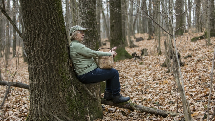 В Курской области нашли редкий гриб ледяные волосы