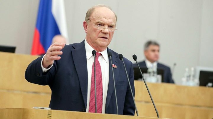 Зюганов заявил, что дело о лосе в отношении Рашкина завели, чтобы свести счеты с КПРФ
