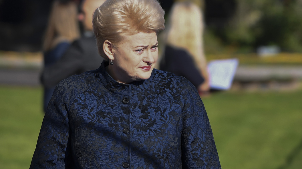 Мы и так много вам помогаем: Президент Литвы одернула Киев, отвечая на вопрос о вступлении в Евросоюз Мы и так много вам помогаем: Президент Литвы одернула Киев, отвечая на вопрос о вступлении в Евросоюз
