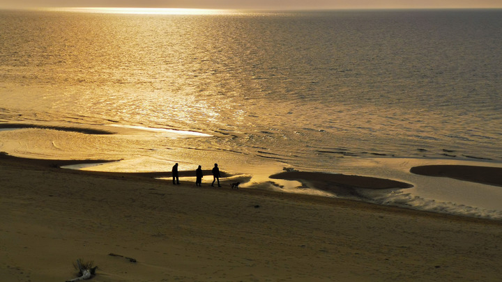 Красивая отрава. В Уссурийском заливе на поверхности воды появились разноцветные пятна