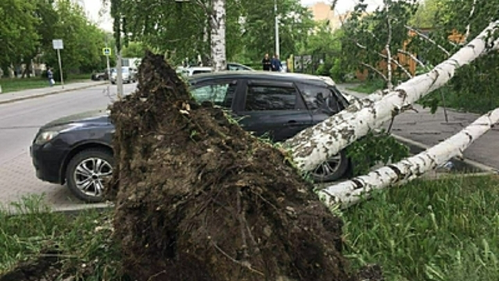 В Челябинской области ЕДДС сделала штормовое предупреждение