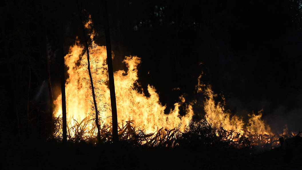 сгоревшие доллары. акции сгорели. пожарная охрана и курганская область пожар. акции сгорели. акции сгорели.