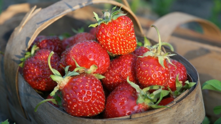 Nutritional Science: свежая клубника защищает от вызывающего инфаркты и инсульты жира