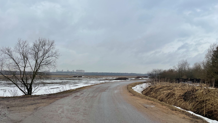 Яковлевка в ДНР освобождена от украинских боевиков. В Минобороны раскрыли детали