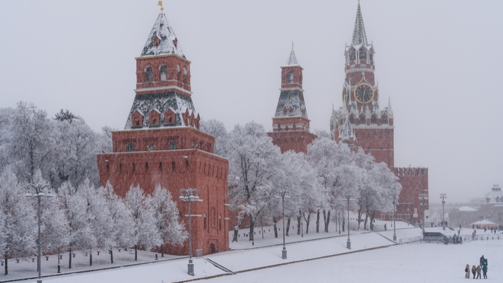 «Исторически он был белый»: Артемий Лебедев предложил изменить цвет стен Кремля