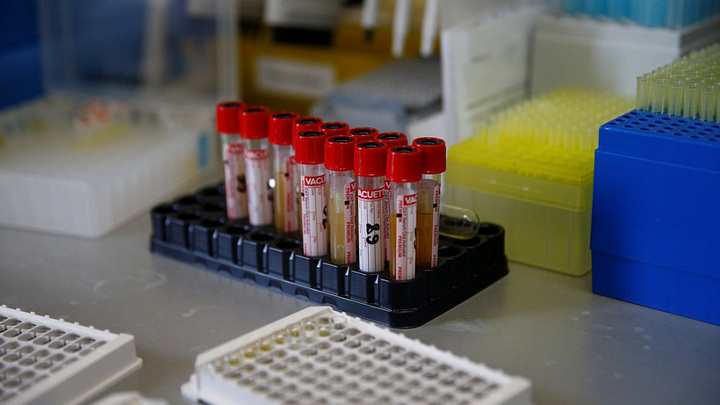 + 174 новых случая COVID-19: На Кубани среди инфицированных больше женщин, чем мужчин