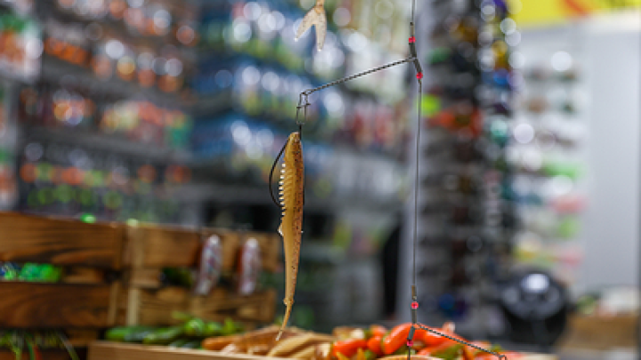 Ростовские рыбаки поймали невероятную рыбу-крокодила