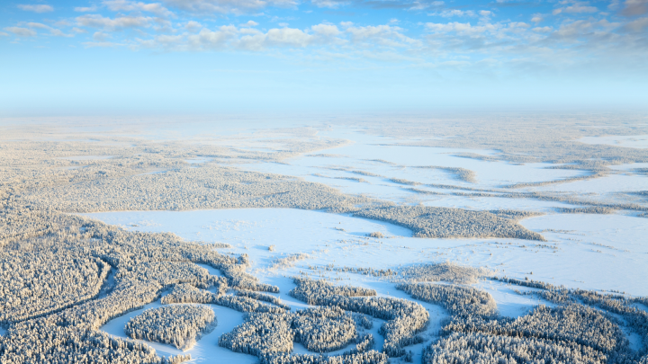 В ледяной ловушке: семья с четырьмя детьми пропала в тундре ЯНАО