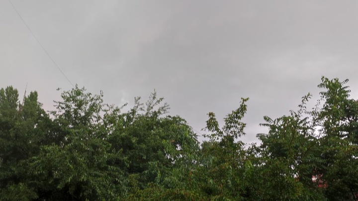 Погода в Ростове-на-Дону 16 июля 2022: прогноз синоптиков