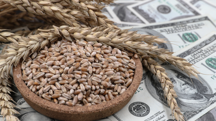 В НАТО рассказали о планах по возобновлению экспорта украинского зерна