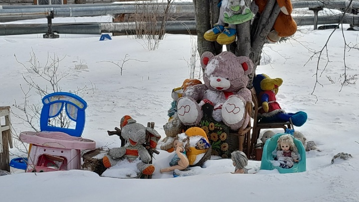 Он позеленел: блогерша Коваль решила, что задела Якубовича шуткой про Поле чудес