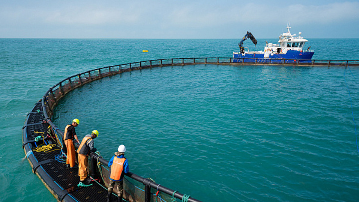 В Сочи в развитие форелевой фермы вложат 20 млрд рублей инвестиций