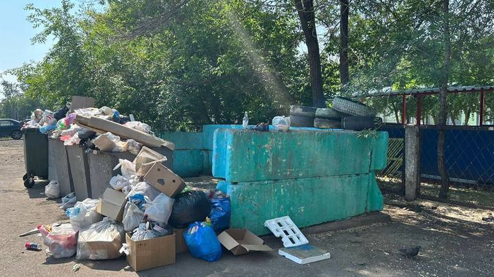 Крыса искусала ребёнка в детском саду Красноярска