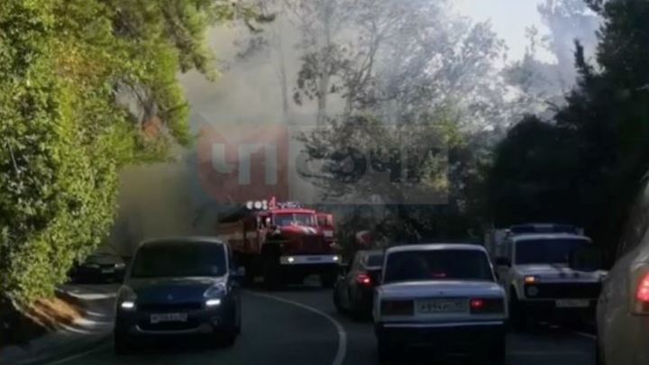 В Сочи сгорел лес на площади 300 квадратов