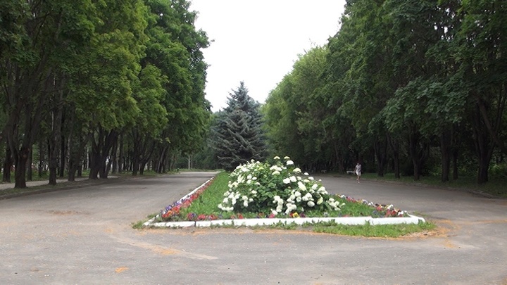 В Суздале вложат 66 миллионов рублей в обустройство городского парка