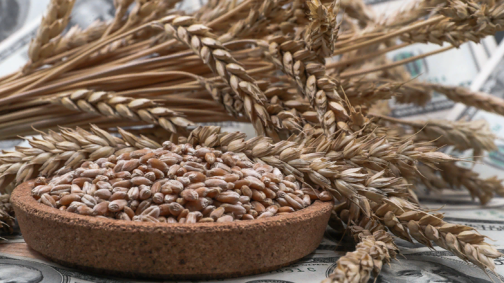 Остались нюансы: Россия начнёт поставлять своё зерно в Китай