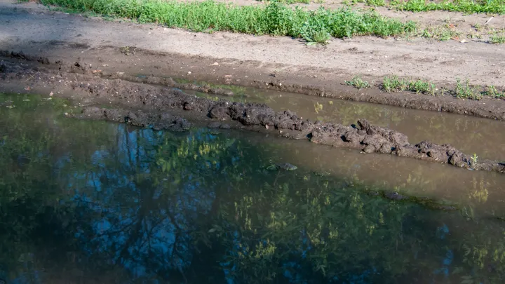 Кофе с молоком на Чёрном море: на Кубани вода стала коричневой из-за грязи, которую принесли реки