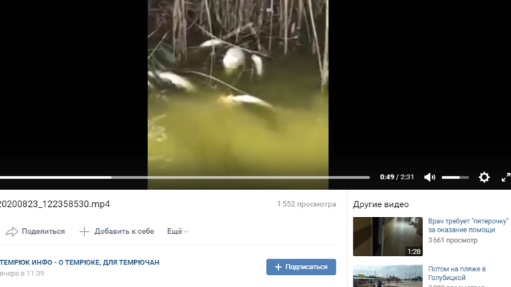 В лимане Темрюкского района обнаружили мертвую рыбу