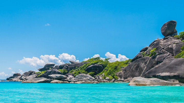 Русские принимают вызов: Игра в политический троллинг началась