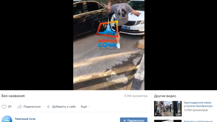 В Сочи водитель Mercedes-Benz повредил патрульную машину и оскорбил полицейских