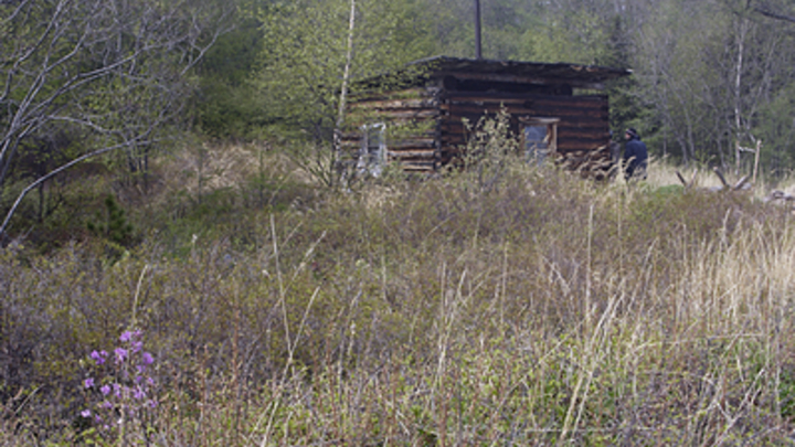 В Свердловской области заблудившаяся в лесу пенсионерка полтора месяца жила в заброшенной хижине