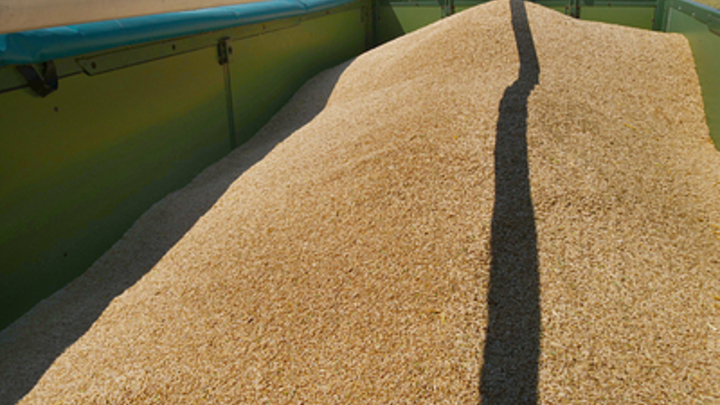 Фермерам Кирилловки на Запорожье рассказали о сдаче-приемке зерновых культур