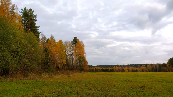Житель Сызрани скончался во время поиска клада в Ульяновской области