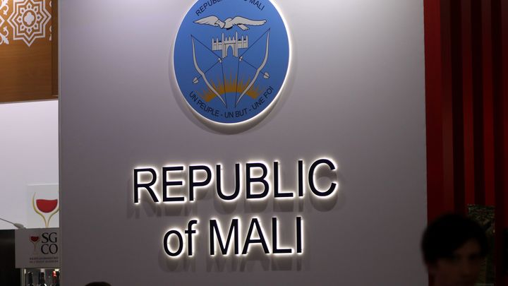 Мали, Нигер и Буркина-Фасо заявили о выходе из экономического сообщества Западной Африки (ЭКОВАС)