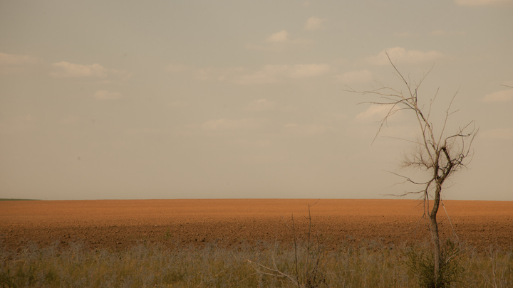 Красная жара в Европе: Русская испанка рассказала о реальной беде