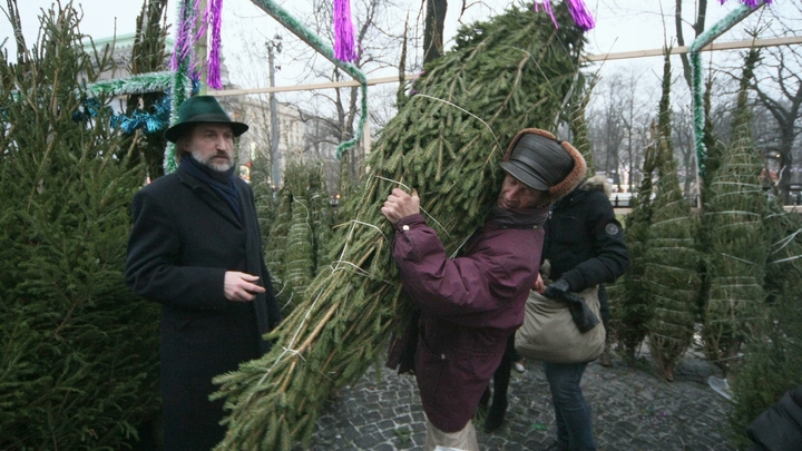 Когда в Челябинске откроются елочные базары