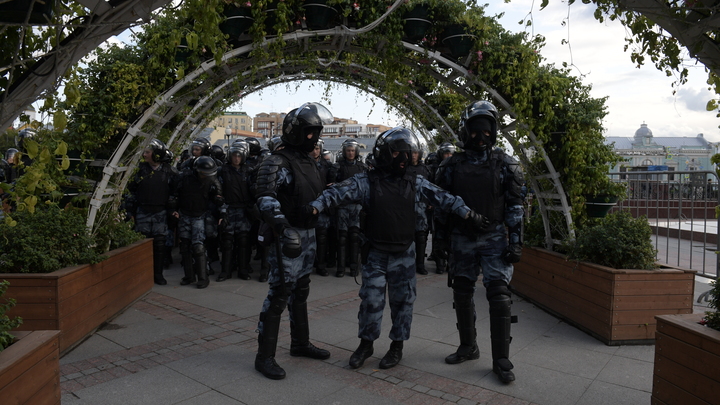 Удар по Навальному и Ко: Кабмин поддержал запрет на митинги за счёт иностранцев