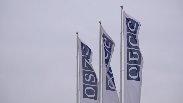 Политический разнос Эстонии: Каллас в истерике от слов Лаврова