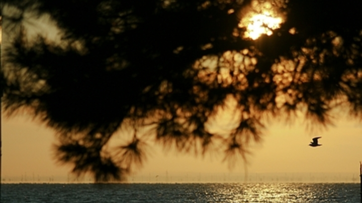 Песков одним словом разрушил мечты Киева сделать Черное море морем НАТО