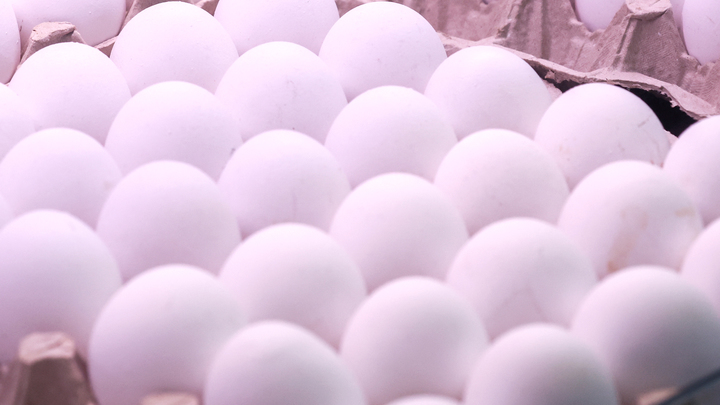 Откаты за яйца довели до тюрьмы: Суд посадил экс-заместителя директора НИИ вакцин и сывороток на 9,5 года