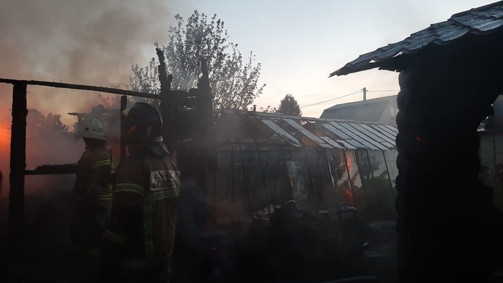 В Нижнем Тагиле кошка спасла хозяев от гибели в огне