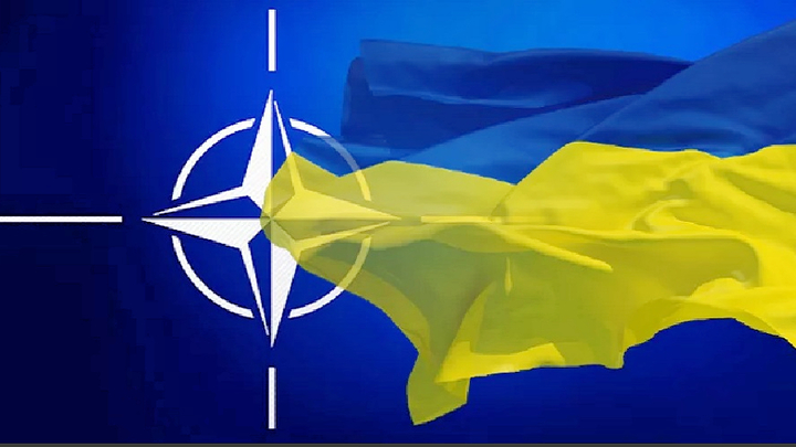 Страны НАТО не хотят поставлять оружие для Украины — The Guardian