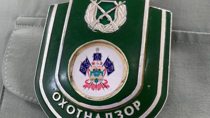 Более тысячи патронов нашли в схроне боеприпасов в Анапе