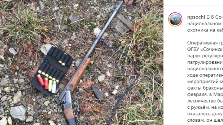В Сочинском нацпарке за охоту на кабана задержали браконьера